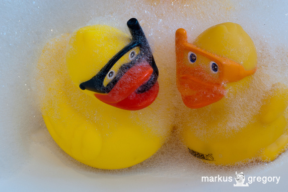 Bubbles and Ducks-8