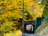 Mariazellerbahn 1099 Herbst