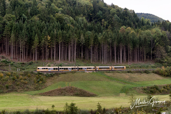 Mariazellerbahn Himmelstreppe Panoramawagen - Nordrampe