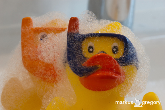 Bubbles and Ducks-5