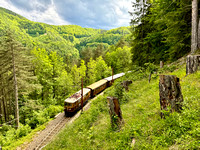 Mariazellerbahn Nordrampe