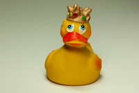 Lanco Queen Duck