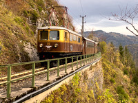 Ötscherbär Mariazellerbahn