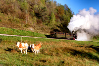 Dampfzug Schneebergbahn