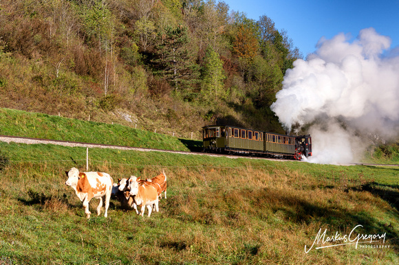 Dampfzug Schneebergbahn