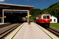 Tanago Mariazellerbahn