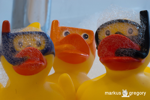 Bubbles and Ducks-2