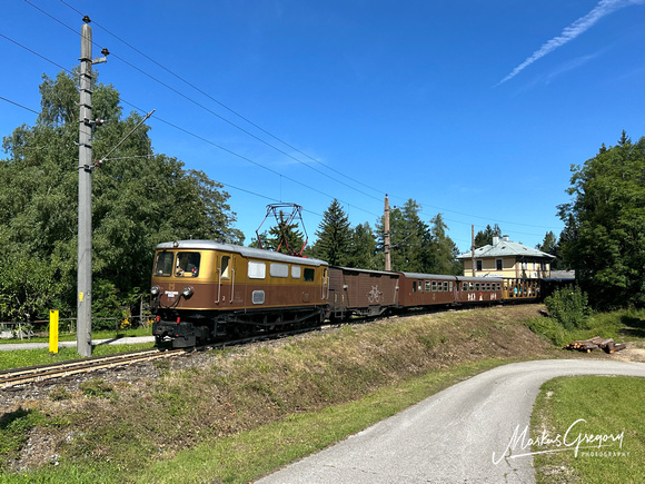 Ötscherbär Mariazellerbahn 1099 Gold