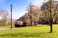 Mariazellerbahn Ötscherbär