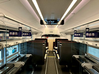 Siemens Viaggio Next Level