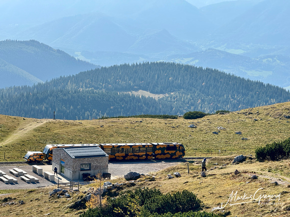 Salamander Zug Schneebergbahn