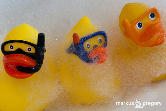 Bubbles and Ducks-7