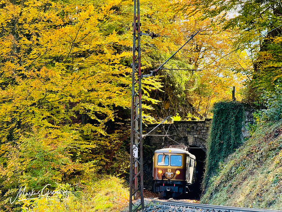 Mariazellerbahn 1099 Herbst