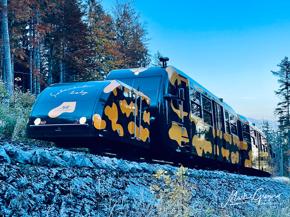 Salamander Schneebergbahn