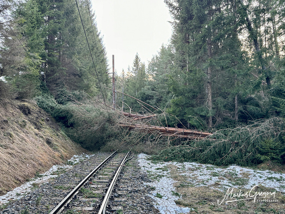 Sturmschaden - Windwurf Oberleitung Mariazellerbahn