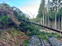 Windwurf Schaden Oberleitung Eisenbahn