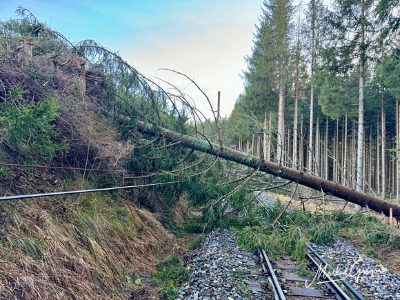 Windwurf Schaden Oberleitung Eisenbahn