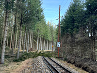 Sturmschaden - Windwurf Oberleitung Mariazellerbahn