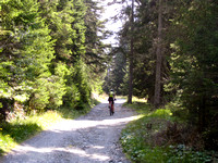 Stoneman Trail