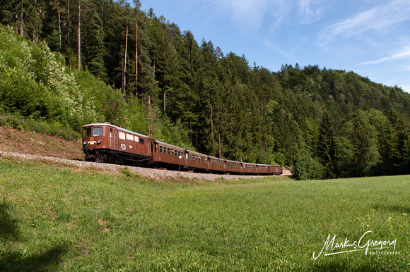 Ötscherbär Mariazellerbahn Unter-Buchberg