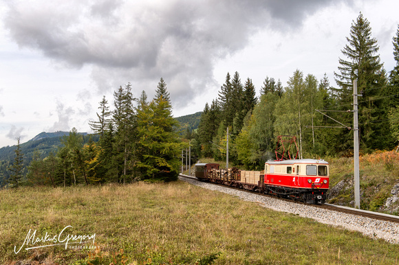 Güterzug Rungenwagen Holztransport