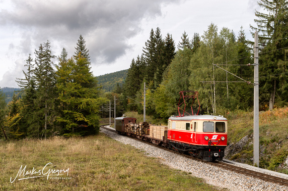 Rungenwagen Holztransport Mariazellerbahn