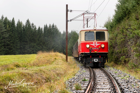 Tanago - Fotozug Mariazellerbahn Herbst