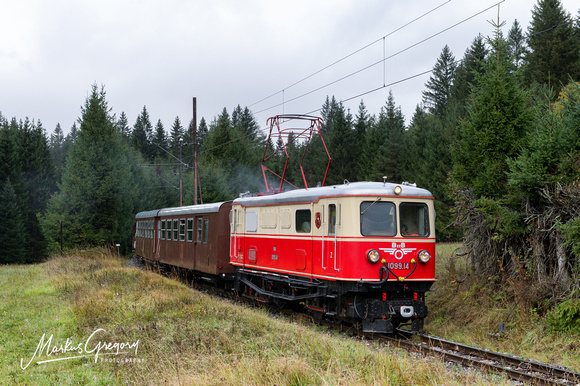 Tanago - Fotozug Mariazellerbahn Herbst