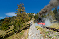 Dampfzug Schneebergbahn