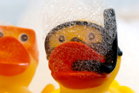 Bubbles and Ducks-1
