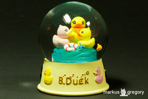 B.Duck Duck Snow Globe
