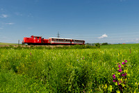 Tanago Fotozug Krumpe