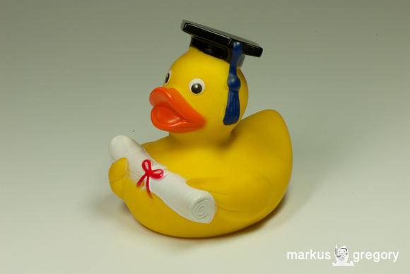 Diplom Rubber Duck