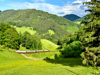 Mariazellerbahn Frühling