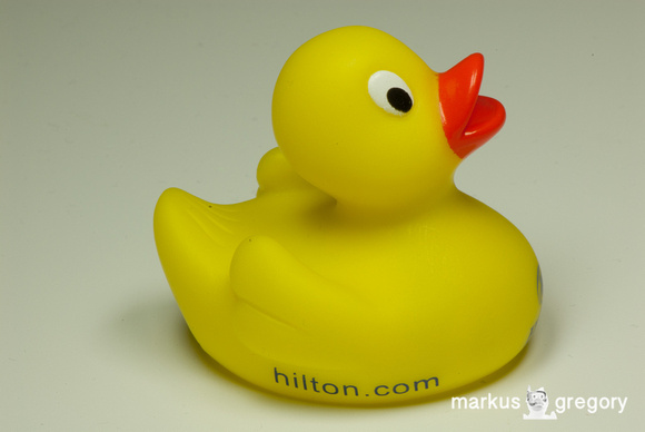 Hilton Rubber Duck