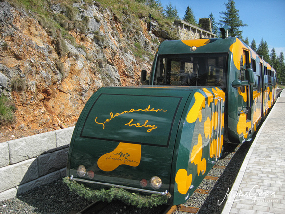 Salamander - Triebwagen Schneebergbahn