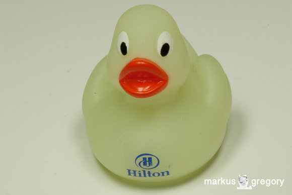 Hilton Rubber Duck