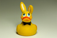 Lanco Bunny Duck